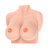 Bouncing Titties F Cup Masturbator Bouncing Titties F Cup Masturbator