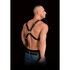 Adonis Chest Harness_