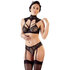 Lace Bra Set With Garther Straps_