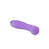 Wellness - G Ball Vibrator - Purple_