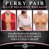 Perky Pair D-Cup Silicone Breasts_