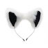 White Fox Tail and Ears Set_